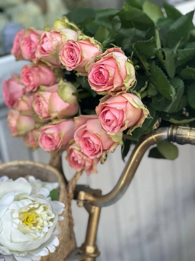 Bunch of roses | ծաղիկներ, ծաղկեպսակներ, բույսեր - առաքում Երևան