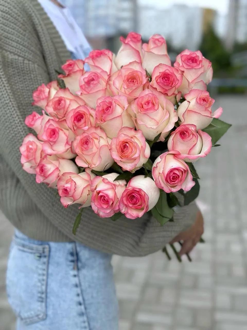 Dutch roses | ծաղիկներ, ծաղկեպսակներ, բույսեր - առաքում Երևան Dutch roses | ծաղիկներ, ծաղկեպսակներ, բույսեր - առաքում Երևան
