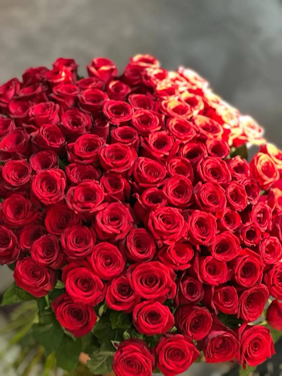 Red gorgeous roses | ծաղիկներ, ծաղկեպսակներ, բույսեր - առաքում Երևան Red gorgeous roses | ծաղիկներ, ծաղկեպսակներ, բույսեր - առաքում Երևան